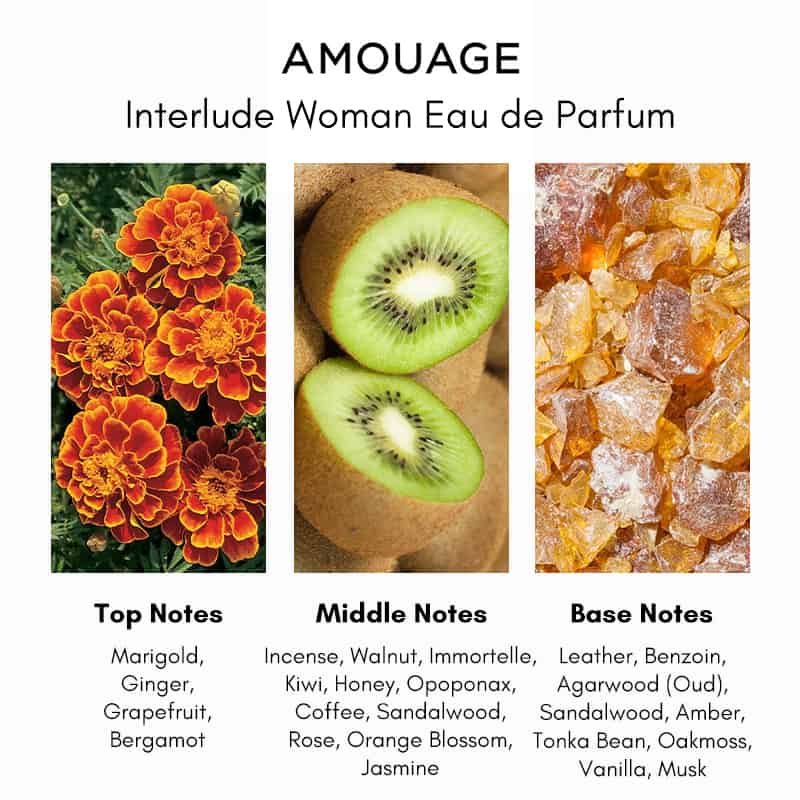 Amouage Interlude Woman 2ml 0.06 oz official perfume sample perfume tester Amouage Interlude Woman 2ml 0.06 oz official perfume sample perfume tester